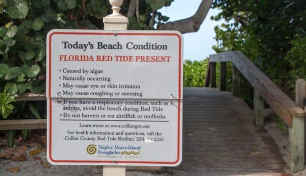 Red Tide: When Water is Unsafe